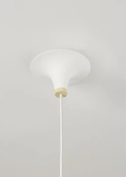 Acorn takpendel