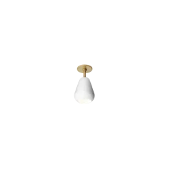Anoli spot innfelt