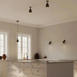 Anoli spot innfelt