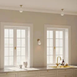 Anoli spot innfelt
