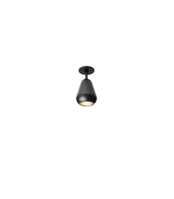 Anoli spot innfelt