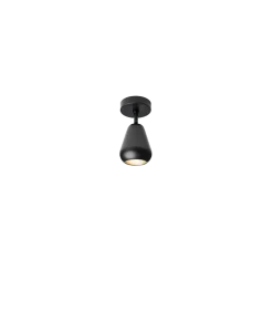 Anoli spot utenpåliggende