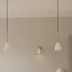 Anoli spot utenpåliggende