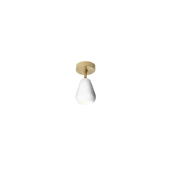 Anoli spot utenpåliggende