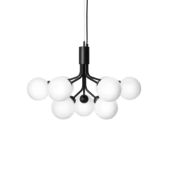 Apiales 9 lysekrone