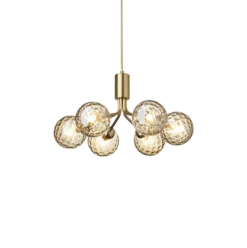 Apiales 6 lysekrone
