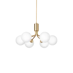 Apiales 6 lysekrone