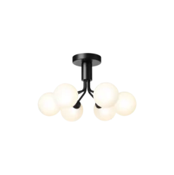 Apiales 6 taklampe