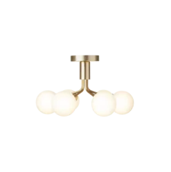 Apiales 6 taklampe