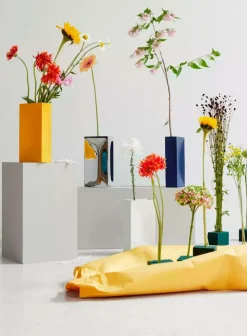 Into vase