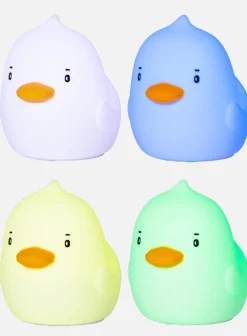 Nattlampe - and