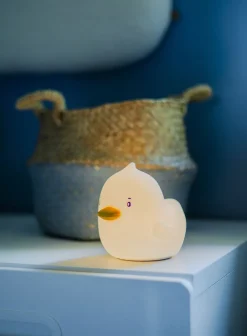 Nattlampe - and